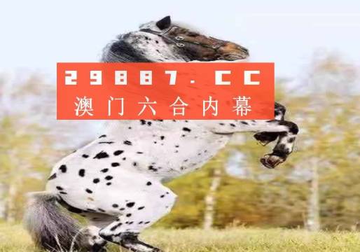 澳门一肖一码一待一中四不像,警惕虚假宣传、全面解答、全面解答解释落实